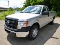 Ingot Silver - F150 XL Regular Cab Photo No. 4