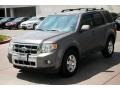 2010 Sterling Grey Metallic Ford Escape Limited V6  photo #9