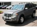 Sterling Grey Metallic - Escape Limited V6 Photo No. 9