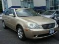 2008 Light Almond Beige Kia Optima EX V6  photo #3