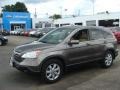 2009 Urban Titanium Metallic Honda CR-V EX-L 4WD  photo #1