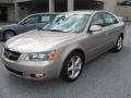 Golden Beige - Sonata GLS V6 Photo No. 4