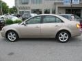 Golden Beige - Sonata GLS V6 Photo No. 5