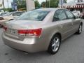 Golden Beige - Sonata GLS V6 Photo No. 8