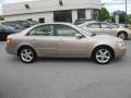 Golden Beige - Sonata GLS V6 Photo No. 9