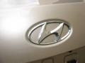 Golden Beige - Sonata GLS V6 Photo No. 34