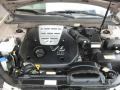 Golden Beige - Sonata GLS V6 Photo No. 51
