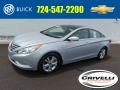 2012 Radiant Silver Hyundai Sonata Limited  photo #1