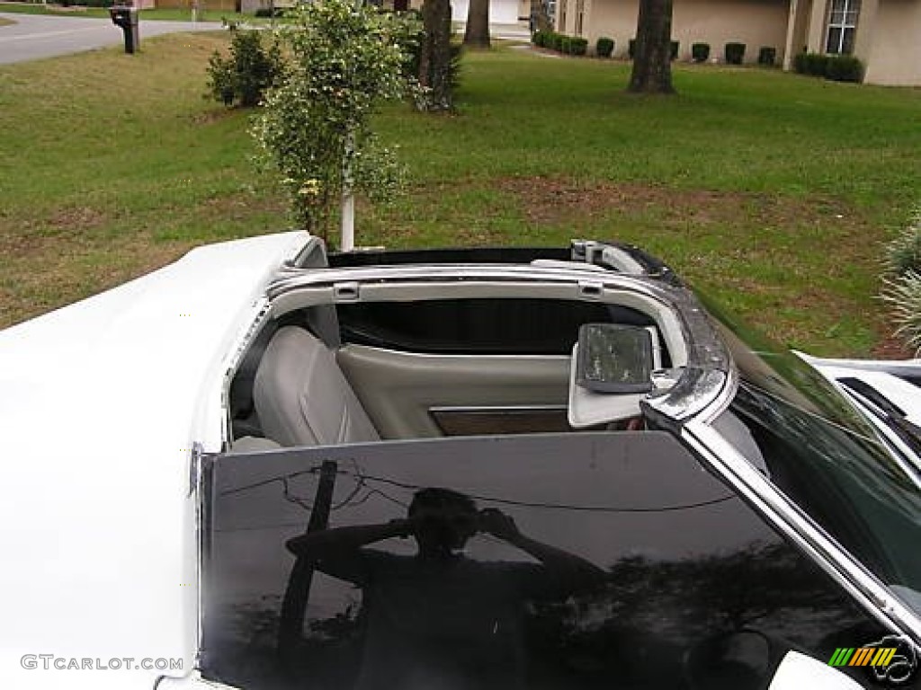 1977 Corvette Coupe - Classic White / Smoked Gray photo #11