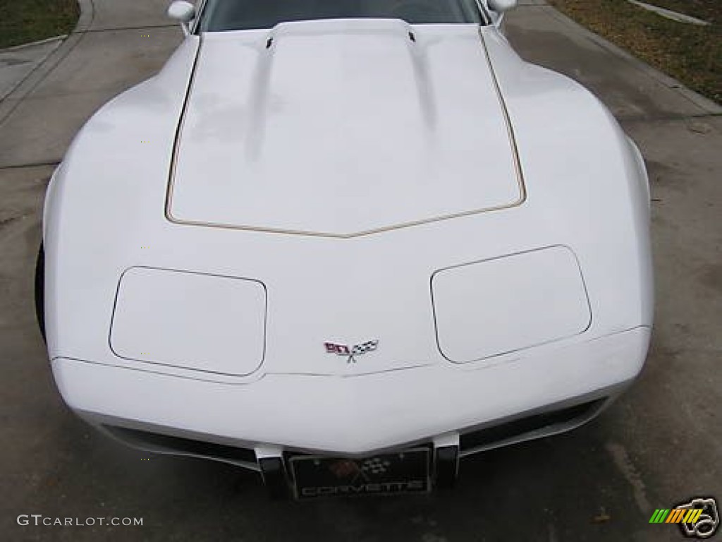 1977 Corvette Coupe - Classic White / Smoked Gray photo #15