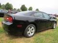 Pitch Black - Charger SE Photo No. 3