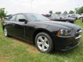 Pitch Black - Charger SE Photo No. 4