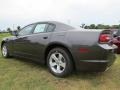 Granite Crystal Metallic - Charger SE Photo No. 2