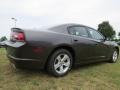 Granite Crystal Metallic - Charger SE Photo No. 3