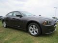 2014 Granite Crystal Metallic Dodge Charger SE  photo #4