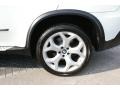 Alpine White - X5 4.8i Photo No. 46