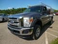 2011 Sterling Grey Metallic Ford F250 Super Duty XLT Regular Cab 4x4  photo #4