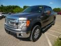 Sterling Gray Metallic - F150 XLT SuperCrew 4x4 Photo No. 4