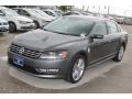 Platinum Gray Metallic - Passat TDI SE Photo No. 3