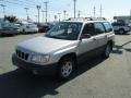 Silverthorn Metallic - Forester 2.5 L Photo No. 2