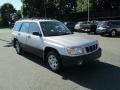 Silverthorn Metallic - Forester 2.5 L Photo No. 4