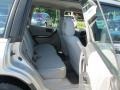 Silverthorn Metallic - Forester 2.5 L Photo No. 16