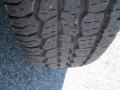 Silverthorn Metallic - Forester 2.5 L Photo No. 20