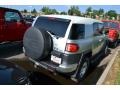 Titanium Metallic - FJ Cruiser 4WD Photo No. 2