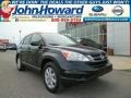 2011 Crystal Black Pearl Honda CR-V SE 4WD  photo #1