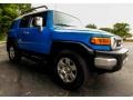 Voodoo Blue - FJ Cruiser 4WD Photo No. 11