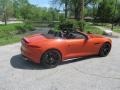 2014 Firesand Metallic Jaguar F-TYPE V8 S  photo #6