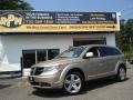 Light Sandstone Metallic 2009 Dodge Journey SXT