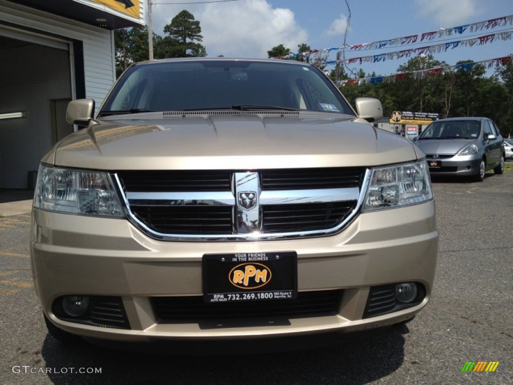 2009 Journey SXT - Light Sandstone Metallic / Pastel Pebble Beige photo #4