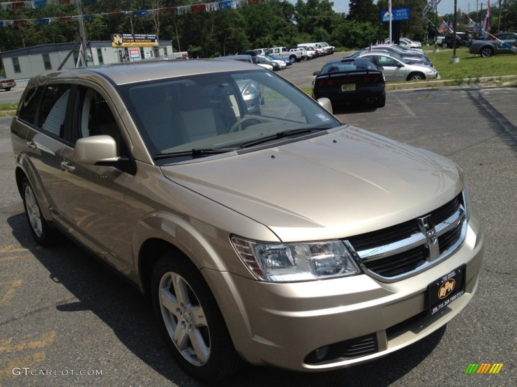 2009 Journey SXT - Light Sandstone Metallic / Pastel Pebble Beige photo #5