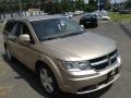 Light Sandstone Metallic - Journey SXT Photo No. 5