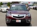 Basque Red Pearl - RDX SH-AWD Photo No. 8