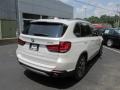 Alpine White - X5 xDrive35i Photo No. 6