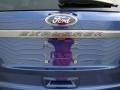 2015 Deep Impact Blue Ford Explorer XLT  photo #14