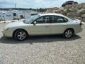 2004 Arizona Beige Metallic Ford Taurus SES Sedan  photo #3