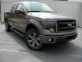2014 Sterling Grey Ford F150 FX4 SuperCrew 4x4  photo #1