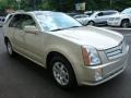 Gold Mist - SRX 4 V6 AWD Photo No. 3