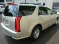 Gold Mist - SRX 4 V6 AWD Photo No. 13