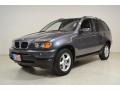 Steel Grey Metallic - X5 3.0i Photo No. 10