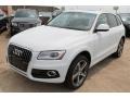 Glacier White Metallic 2015 Audi Q5 3.0 TDI Premium Plus quattro Exterior