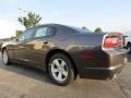 Granite Crystal Metallic - Charger SE Photo No. 2