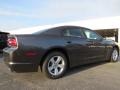 Granite Crystal Metallic - Charger SE Photo No. 3