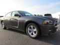 Granite Crystal Metallic - Charger SE Photo No. 4
