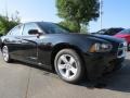 Pitch Black - Charger SE Photo No. 4