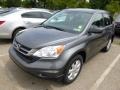 Polished Metal Metallic - CR-V SE 4WD Photo No. 3