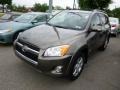 Pyrite Metallic - RAV4 Limited 4WD Photo No. 3